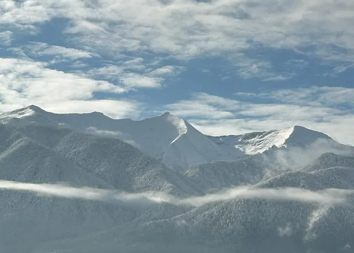 شقة Elephant رازلوغ